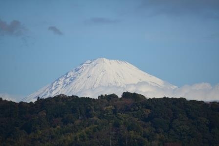 11月24日　たくさんのご参加ありがとうございます　～静岡中央LL～